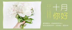 合作經(jīng)營(yíng)，共負(fù)盈虧，原您在最美的季節(jié)，收獲美好，展望未來